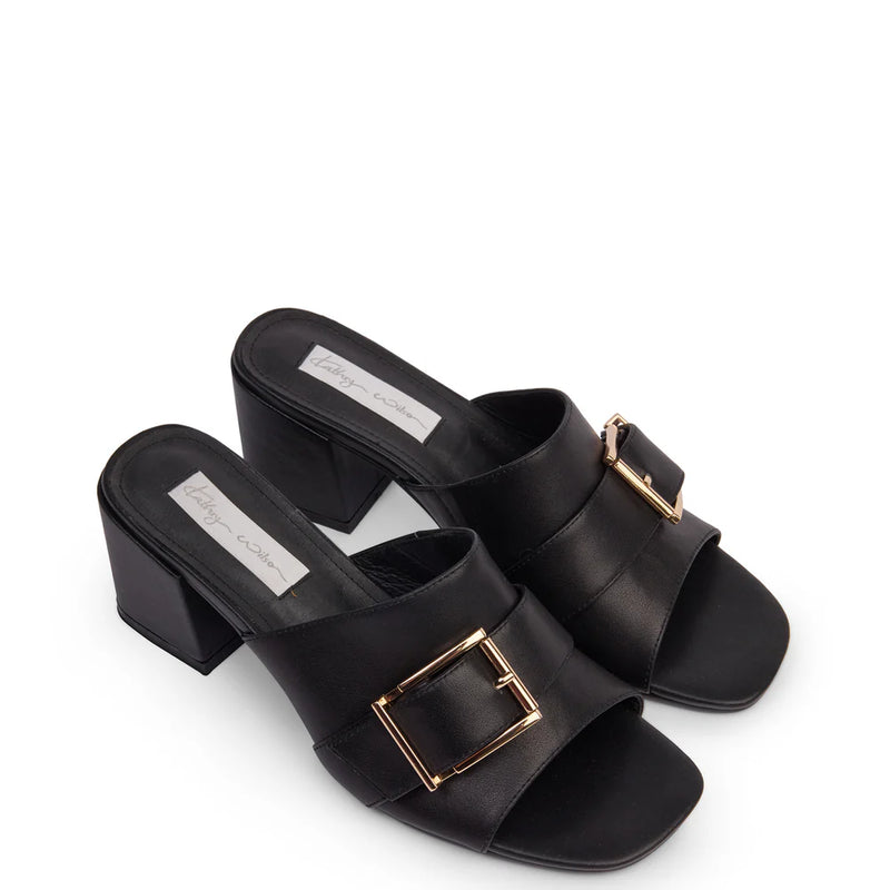 KATHRYN WILSON MADDIE MULE
