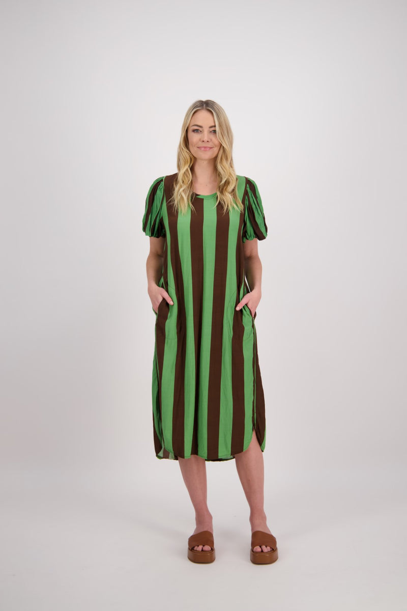 BRIARWOOD PETRA DRESS-CHOC/GREEN STRIPE